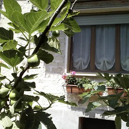 A Casa Di Nonna