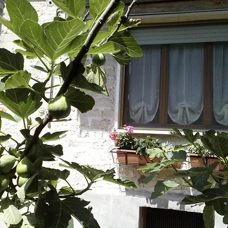 A Casa Di Nonna